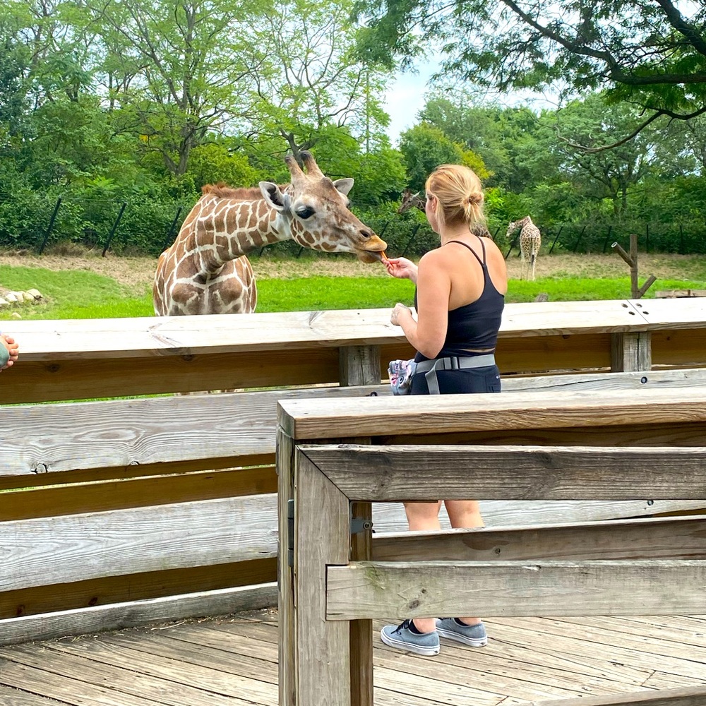 Meet your Posh Ambassador Samantha & Joshua 🦒